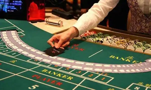 312bet7